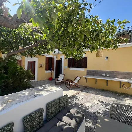 Apartment Lemon Tree